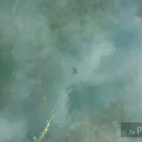 まったり桧原湖の画像