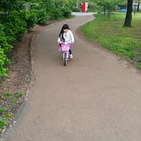 杏自転車の画像
