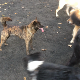 千葉〜神奈川の画像