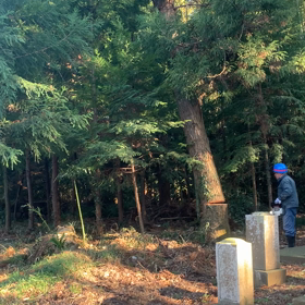 伐採　^_^ 木彩^_^の画像