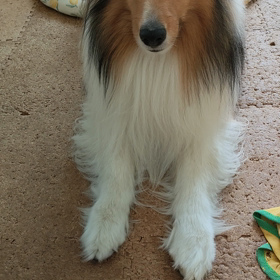 長い連休の後半になると、、の画像