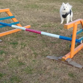 あと 一日の画像