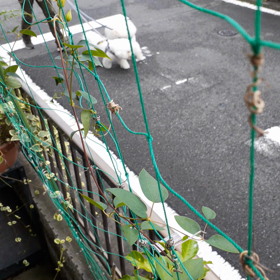 今！雨が上がっているので！の画像
