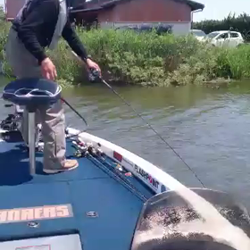 モザイクチャターとモギハノン@動画の画像