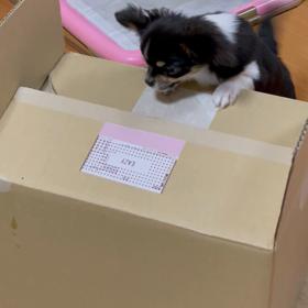 私の宝物❤️❤️の画像