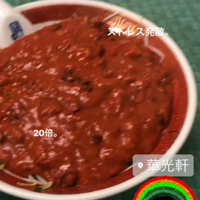 ガソリン注入の画像