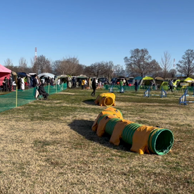 ビギナーの画像