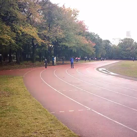 競技場練習⑪の画像