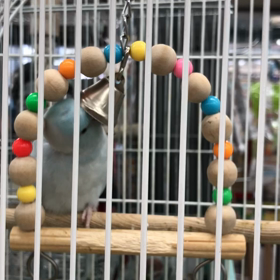 自己主張の画像