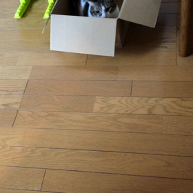 無印良品店員にムカムカムカムカ…主人にも！デール動画の画像