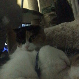 盗み見的な〰の画像