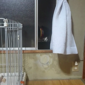 ベランダからの画像