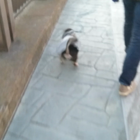 明けましておめでとうございますの画像