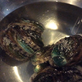 ジングルべ〜ル(^○^)の画像