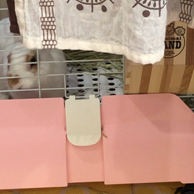 主張していますの画像