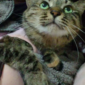 寝る前のｼｱﾜｾなひとときの画像