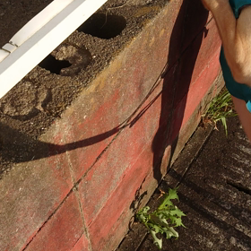 暑いの暑いの。。。とんでゆけぇ～の画像