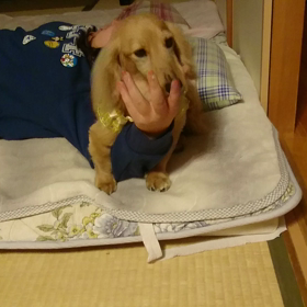 本気遊びの画像