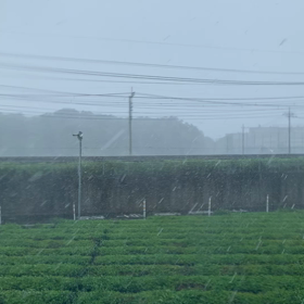 昨日は大荒れな天気でした、、、の画像