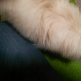 荒れてますの画像