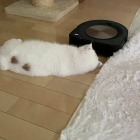 新人戦　ルンバs9+ との戦いの画像