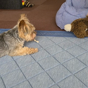 やらん！の画像