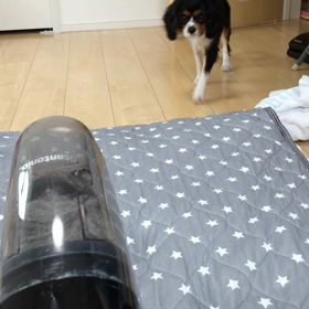 ■嫌いだけど好き■の画像