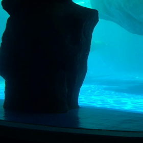 教行信証(坂東本)033〜35行巻032〜034の画像