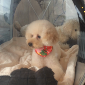 ⬛️7/12〜7/18＊酸素カプセルご利用のお友達⬛️の画像