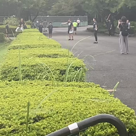 リレー選考会　中間地点④の画像