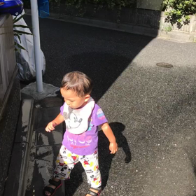 朝顔の水やりの画像