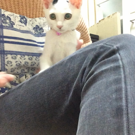 カルロとルチアの画像