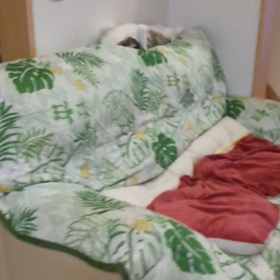 コロナワクチン接種１回目の画像