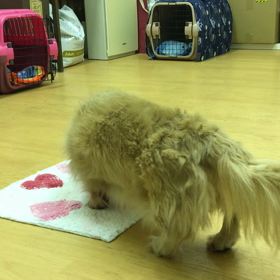 のほ〜んってなるわ。の画像