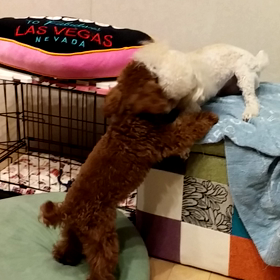 う～ん　仲良し、、、かなぁの画像