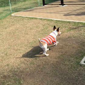 晴れ☀︎の画像