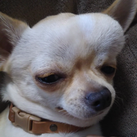 ありがとうございました！の画像