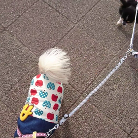 食欲が原動力の画像