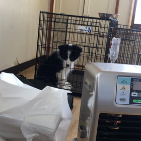 今日で最後の画像