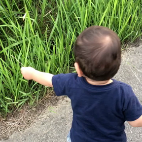 1m1y0d  お手上げ\(^o^)/＆1歳1ヶ月まとめの画像