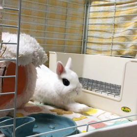 教育相談の画像