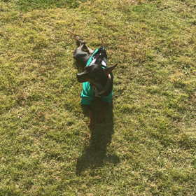 かばたリゾート動画3連発‼️の画像