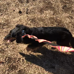 ♪お散歩動画♪代々木公園♪の画像