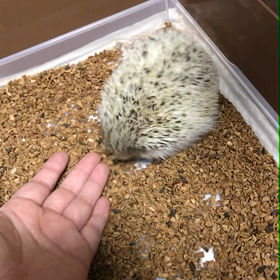 67日目少しだけ明かりの下への画像