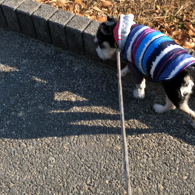 方向感覚の画像