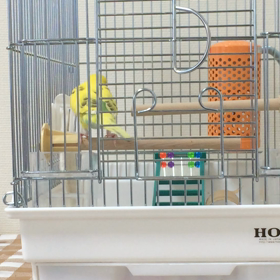 オーマイガー❗️の画像