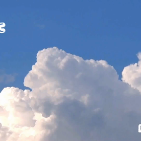 フラワーエッセンス講座　モニター価格スタートの画像