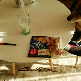 わんこ用の「鯛焼き♪」の画像