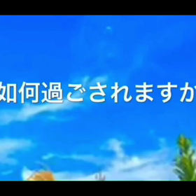 暑中見舞！の画像