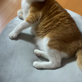 -旋回再び-の画像